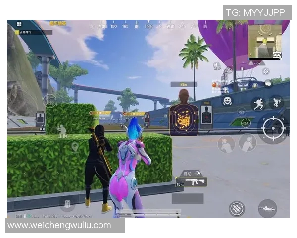 科学和平精英的耐力训练方法探索与实践指南 科学和平精英的耐力训练方法探索与实践指南