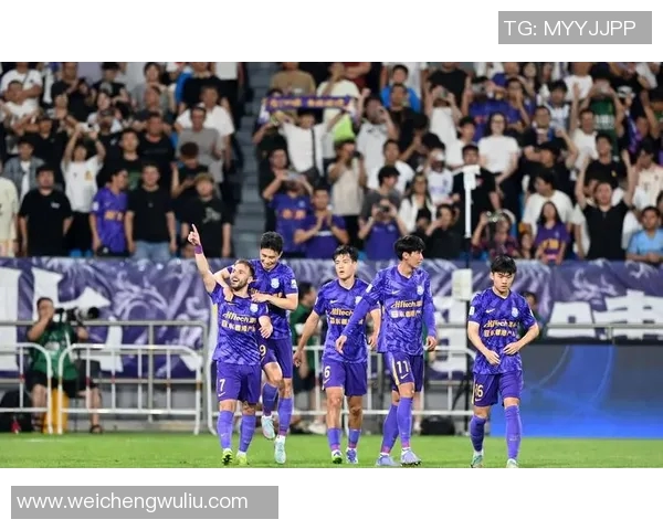 2007年国安与申花激战回顾：经典对决中的英雄与传奇