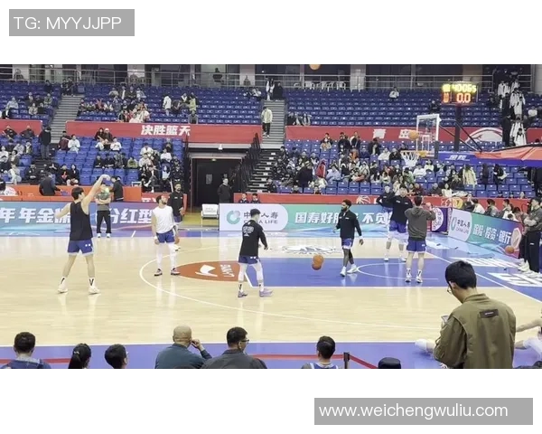 CBA精彩对决辽宁队迎战青岛队全场视频回放与精彩瞬间分析